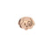 CHARM RUE DES MILLE UNISEX XR-017